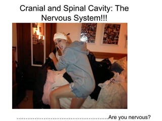 Cranial and Spinal Cavity: The
Nervous System!!!
……………………………………………Are you nervous?
 