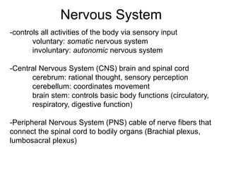Nervous System
-controls all activities of the body via sensory input
voluntary: somatic nervous system
involuntary: autonomic nervous system
-Central Nervous System (CNS) brain and spinal cord
cerebrum: rational thought, sensory perception
cerebellum: coordinates movement
brain stem: controls basic body functions (circulatory,
respiratory, digestive function)
-Peripheral Nervous System (PNS) cable of nerve fibers that
connect the spinal cord to bodily organs (Brachial plexus,
lumbosacral plexus)
 