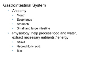 Gastrointestinal System
◦ Anatomy
• Mouth
• Esophagus
• Stomach
• Small and large intestine
◦ Physiology: help process food and water,
extract necessary nutrients / energy
• Saliva
• Hydrochloric acid
• Bile
 