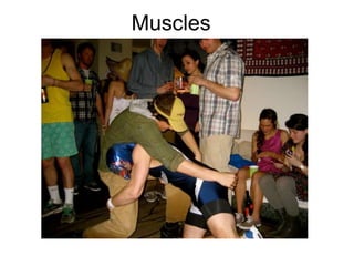 Muscles
 