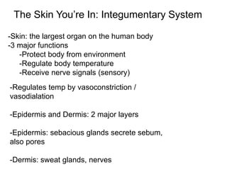The Skin You’re In: Integumentary System
-Skin: the largest organ on the human body
-3 major functions
-Protect body from environment
-Regulate body temperature
-Receive nerve signals (sensory)
-Regulates temp by vasoconstriction /
vasodialation
-Epidermis and Dermis: 2 major layers
-Epidermis: sebacious glands secrete sebum,
also pores
-Dermis: sweat glands, nerves
 