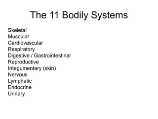 The 11 Bodily Systems
Skeletal
Muscular
Cardiovascular
Respiratory
Digestive / Gastrointestinal
Reproductive
Integumentary (skin)
Nervous
Lymphatic
Endocrine
Urinary
 