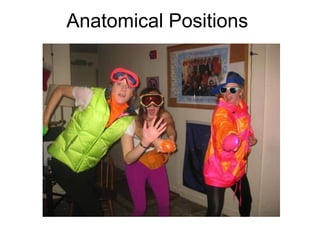 Anatomical Positions
 