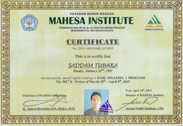 Scan Sadam
