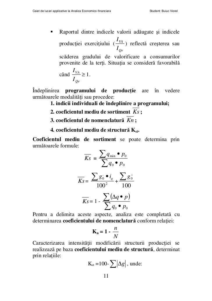 53510163 Caiet Aplicatii Analiza Economico F