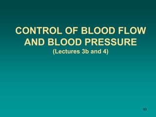 CONTROL OF BLOOD FLOW
AND BLOOD PRESSURE
(Lectures 3b and 4)
63
 