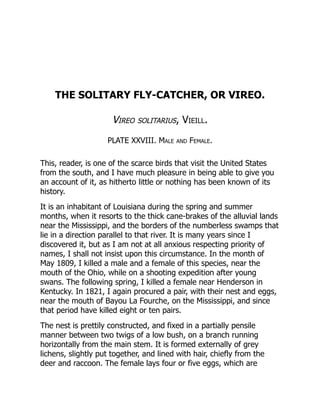 THE SOLITARY FLY-CATCHER, OR VIREO.
Vireo solitarius, Vieill.
PLATE XXVIII. Male and Female.
This, reader, is one of the scarce birds that visit the United States
from the south, and I have much pleasure in being able to give you
an account of it, as hitherto little or nothing has been known of its
history.
It is an inhabitant of Louisiana during the spring and summer
months, when it resorts to the thick cane-brakes of the alluvial lands
near the Mississippi, and the borders of the numberless swamps that
lie in a direction parallel to that river. It is many years since I
discovered it, but as I am not at all anxious respecting priority of
names, I shall not insist upon this circumstance. In the month of
May 1809, I killed a male and a female of this species, near the
mouth of the Ohio, while on a shooting expedition after young
swans. The following spring, I killed a female near Henderson in
Kentucky. In 1821, I again procured a pair, with their nest and eggs,
near the mouth of Bayou La Fourche, on the Mississippi, and since
that period have killed eight or ten pairs.
The nest is prettily constructed, and fixed in a partially pensile
manner between two twigs of a low bush, on a branch running
horizontally from the main stem. It is formed externally of grey
lichens, slightly put together, and lined with hair, chiefly from the
deer and raccoon. The female lays four or five eggs, which are
 