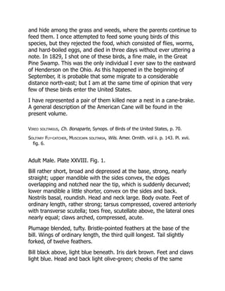 and hide among the grass and weeds, where the parents continue to
feed them. I once attempted to feed some young birds of this
species, but they rejected the food, which consisted of flies, worms,
and hard-boiled eggs, and died in three days without ever uttering a
note. In 1829, I shot one of these birds, a fine male, in the Great
Pine Swamp. This was the only individual I ever saw to the eastward
of Henderson on the Ohio. As this happened in the beginning of
September, it is probable that some migrate to a considerable
distance north-east; but I am at the same time of opinion that very
few of these birds enter the United States.
I have represented a pair of them killed near a nest in a cane-brake.
A general description of the American Cane will be found in the
present volume.
Vireo solitarius, Ch. Bonaparte, Synops. of Birds of the United States, p. 70.
Solitary Fly-catcher, Muscicapa solitaria, Wils. Amer. Ornith. vol ii. p. 143. Pl. xvii.
fig. 6.
Adult Male. Plate XXVIII. Fig. 1.
Bill rather short, broad and depressed at the base, strong, nearly
straight; upper mandible with the sides convex, the edges
overlapping and notched near the tip, which is suddenly decurved;
lower mandible a little shorter, convex on the sides and back.
Nostrils basal, roundish. Head and neck large. Body ovate. Feet of
ordinary length, rather strong; tarsus compressed, covered anteriorly
with transverse scutella; toes free, scutellate above, the lateral ones
nearly equal; claws arched, compressed, acute.
Plumage blended, tufty. Bristle-pointed feathers at the base of the
bill. Wings of ordinary length, the third quill longest. Tail slightly
forked, of twelve feathers.
Bill black above, light blue beneath. Iris dark brown. Feet and claws
light blue. Head and back light olive-green; cheeks of the same
 