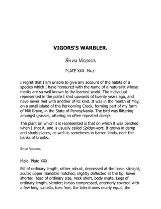 VIGORS'S WARBLER.
Sylvia Vigorsii.
PLATE XXX. Male.
I regret that I am unable to give any account of the habits of a
species which I have honoured with the name of a naturalist whose
merits are so well known to the learned world. The individual
represented in the plate I shot upwards of twenty years ago, and
have never met with another of its kind. It was in the month of May,
on a small island of the Perkioming Creek, forming part of my farm
of Mill Grove, in the State of Pennsylvania. The bird was flittering
amongst grasses, uttering an often repeated cheep.
The plant on which it is represented is that on which it was perched
when I shot it, and is usually called Spider-wort. It grows in damp
and shady places, as well as sometimes in barren lands, near the
banks of brooks.
Sylvia Vigorsii.
Male. Plate XXX.
Bill of ordinary length, rather robust, depressed at the base, straight,
acute; upper mandible notched, slightly deflected at the tip; lower
shorter. Head of ordinary size, neck short, body ovate. Legs of
ordinary length, slender; tarsus compressed, anteriorly covered with
a few long scutella, toes free, the lateral ones nearly equal, the
 