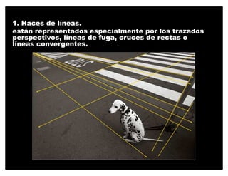 1. Haces de líneas.
están representados especialmente por los trazados
perspectivos, líneas de fuga, cruces de rectas o
líneas convergentes.
 