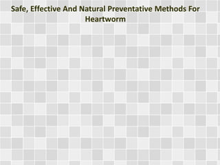 Safe, Effective And Natural Preventative Methods For
Heartworm
 