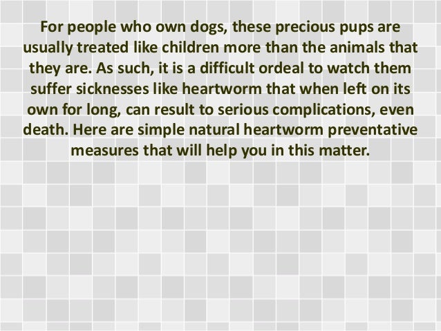 natural heartworm preventative