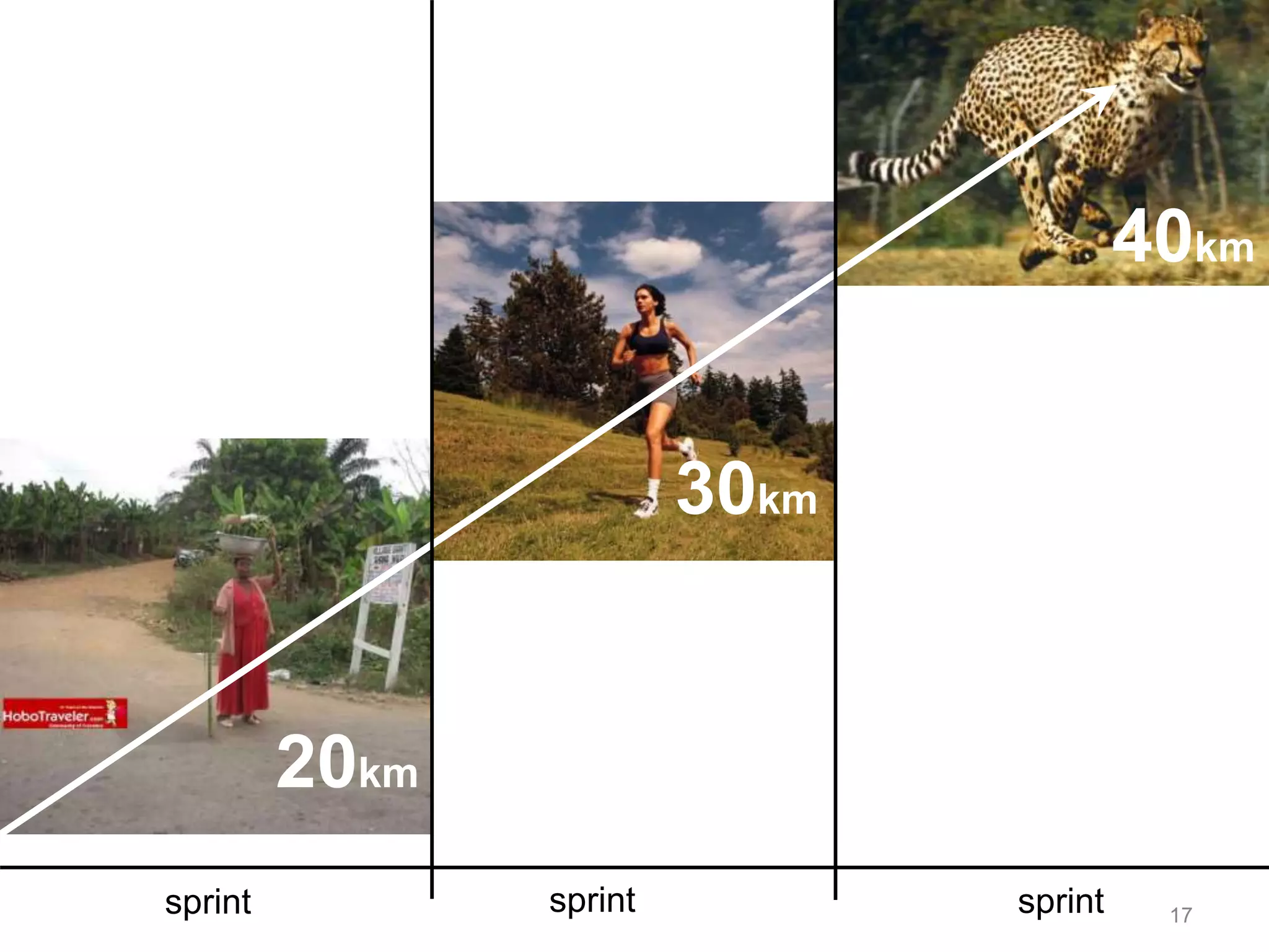 17
20km
30km
40km
sprint sprint sprint
 