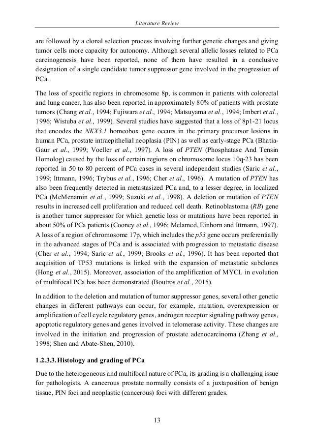 discussion essay expressions sample samples