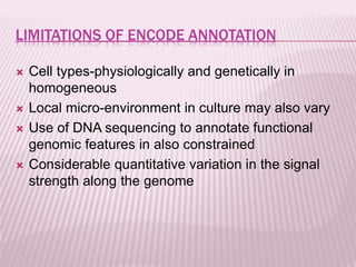 encode project | PPTX