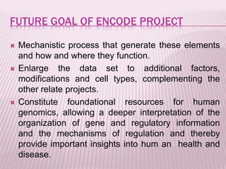 encode project | PPTX