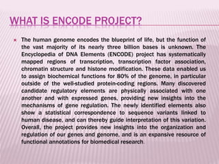encode project | PPT