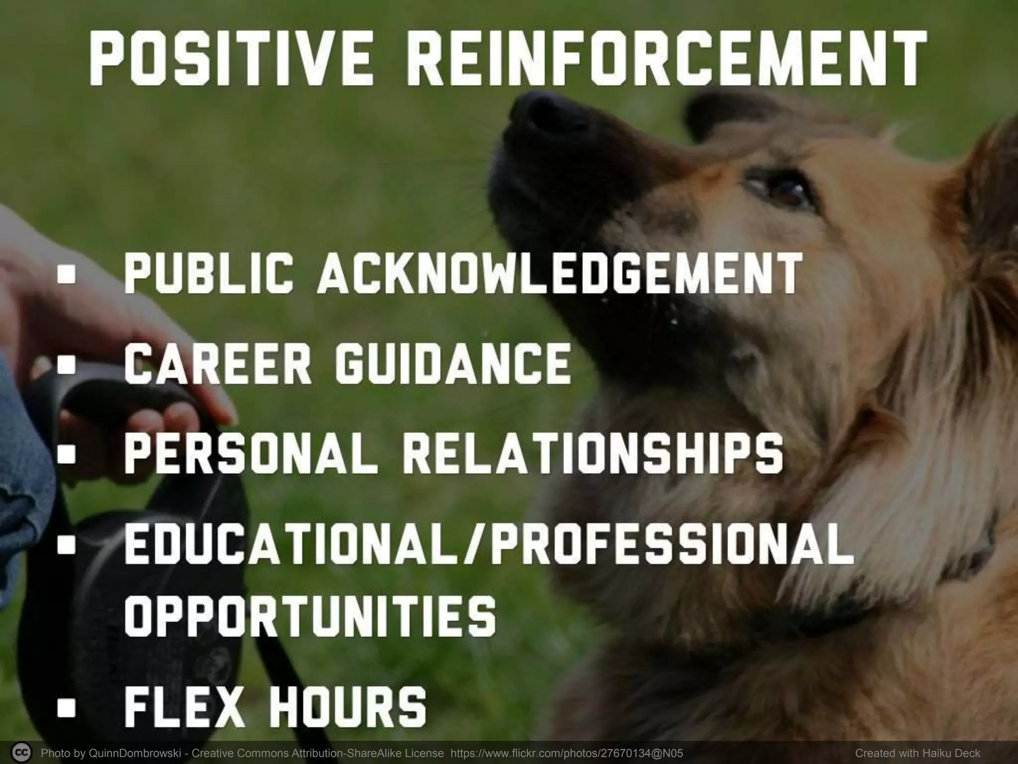 Photo by QuinnDombrowski - Creative Commons Attribution-ShareAlike License https://www.flickr.com/photos/27670134@N05 Created with Haiku Deck
 