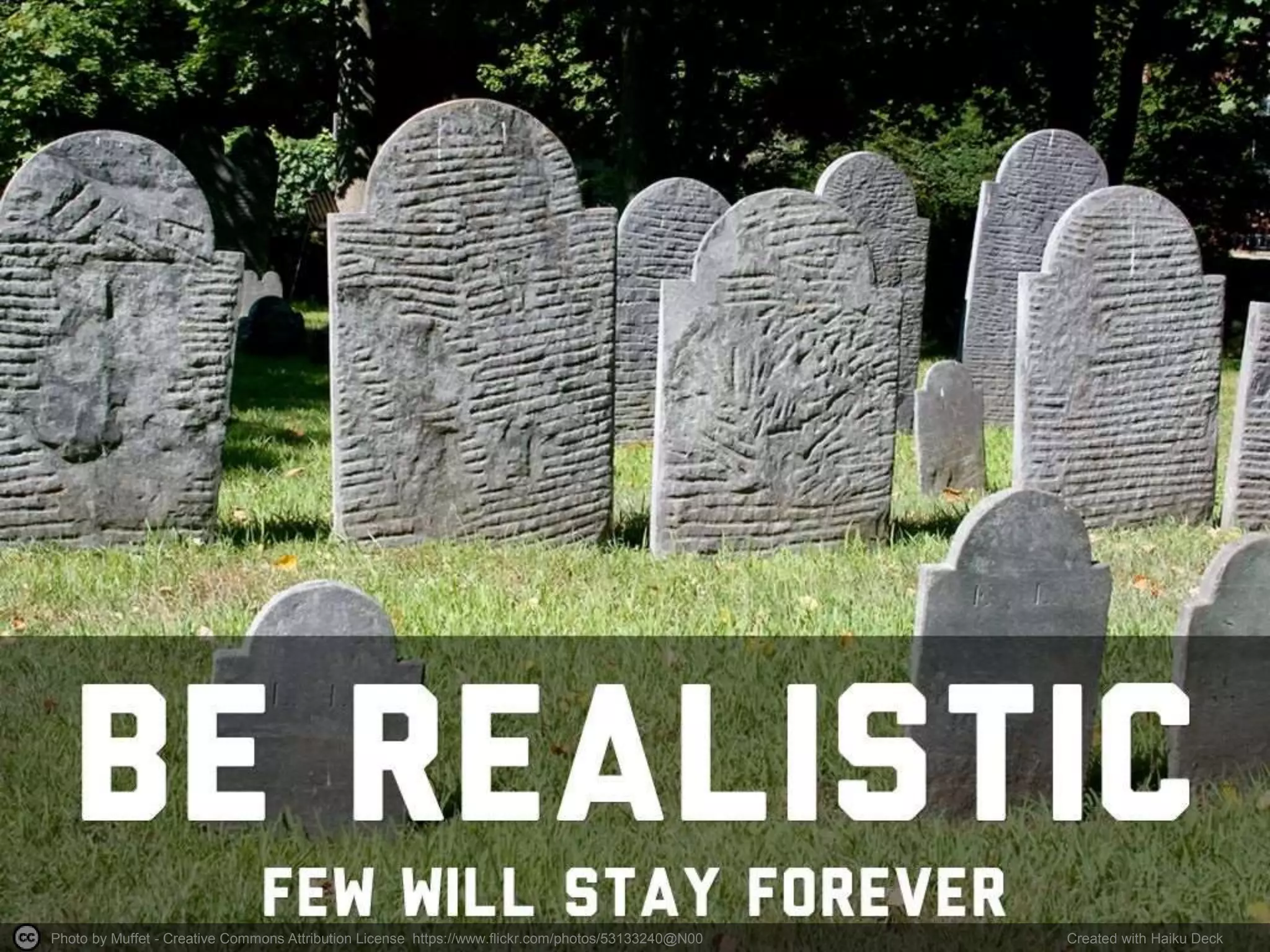 Photo by Muffet - Creative Commons Attribution License https://www.flickr.com/photos/53133240@N00 Created with Haiku Deck
 