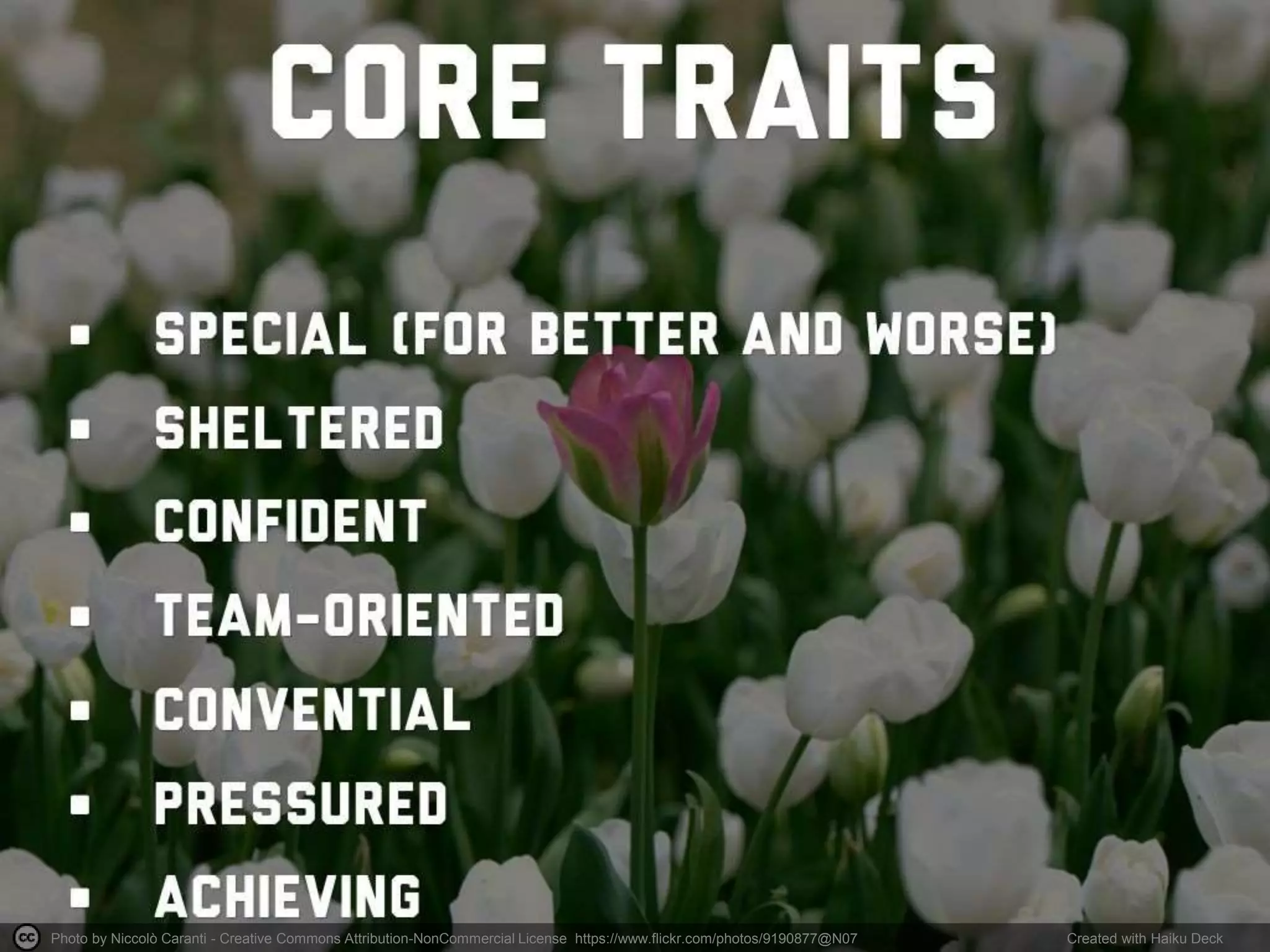 Photo by Niccolò Caranti - Creative Commons Attribution-NonCommercial License https://www.flickr.com/photos/9190877@N07 Created with Haiku Deck
 