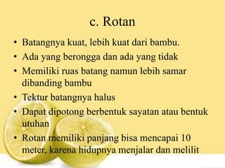 c. Rotan
• Batangnya kuat, lebih kuat dari bambu.
• Ada yang berongga dan ada yang tidak
• Memiliki ruas batang namun lebih samar
dibanding bambu
• Tektur batangnya halus
• Dapat dipotong berbentuk sayatan atau bentuk
utuhan
• Rotan memiliki panjang bisa mencapai 10
meter, karena hidupnya menjalar dan melilit
 