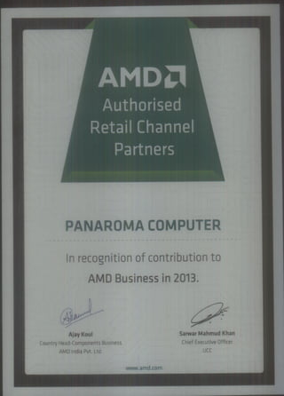 AMD Business-2013