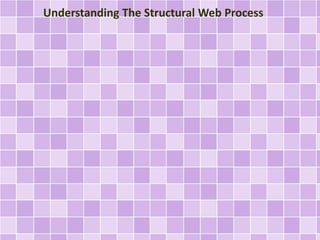 Understanding The Structural Web Process
 