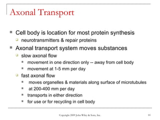 Copyright 2009 John Wiley & Sons, Inc. 10
Axonal Transport
 Cell body is location for most protein synthesis
 neurotransmitters & repair proteins
 Axonal transport system moves substances
 slow axonal flow
 movement in one direction only -- away from cell body
 movement at 1-5 mm per day
 fast axonal flow
 moves organelles & materials along surface of microtubules
 at 200-400 mm per day
 transports in either direction
 for use or for recycling in cell body
 