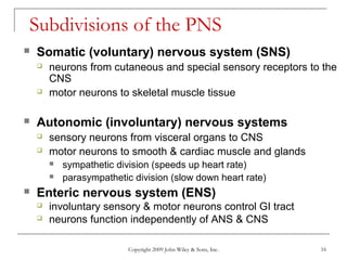 Copyright 2009 John Wiley & Sons, Inc. 16
Subdivisions of the PNS
 Somatic (voluntary) nervous system (SNS)
 neurons from cutaneous and special sensory receptors to the
CNS
 motor neurons to skeletal muscle tissue
 Autonomic (involuntary) nervous systems
 sensory neurons from visceral organs to CNS
 motor neurons to smooth & cardiac muscle and glands
 sympathetic division (speeds up heart rate)
 parasympathetic division (slow down heart rate)
 Enteric nervous system (ENS)
 involuntary sensory & motor neurons control GI tract
 neurons function independently of ANS & CNS
 