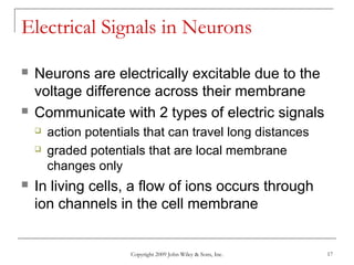 Copyright 2009 John Wiley & Sons, Inc. 17
Electrical Signals in Neurons
 Neurons are electrically excitable due to the
voltage difference across their membrane
 Communicate with 2 types of electric signals
 action potentials that can travel long distances
 graded potentials that are local membrane
changes only
 In living cells, a flow of ions occurs through
ion channels in the cell membrane
 