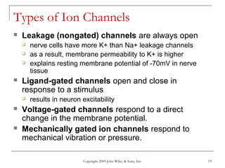 Copyright 2009 John Wiley & Sons, Inc. 19
Types of Ion Channels
 Leakage (nongated) channels are always open
 nerve cells have more K+ than Na+ leakage channels
 as a result, membrane permeability to K+ is higher
 explains resting membrane potential of -70mV in nerve
tissue
 Ligand-gated channels open and close in
response to a stimulus
 results in neuron excitability
 Voltage-gated channels respond to a direct
change in the membrane potential.
 Mechanically gated ion channels respond to
mechanical vibration or pressure.
 
