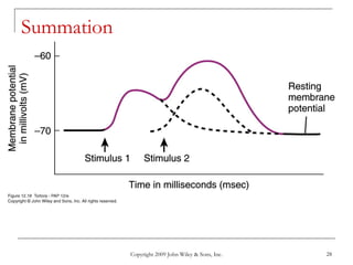 Copyright 2009 John Wiley & Sons, Inc. 28
Summation
 