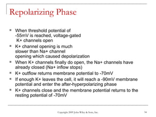 Copyright 2009 John Wiley & Sons, Inc. 34
Repolarizing Phase
 When threshold potential of
-55mV is reached, voltage-gated
K+ channels open
 K+ channel opening is much
slower than Na+ channel
opening which caused depolarization
 When K+ channels finally do open, the Na+ channels have
already closed (Na+ inflow stops)
 K+ outflow returns membrane potential to -70mV
 If enough K+ leaves the cell, it will reach a -90mV membrane
potential and enter the after-hyperpolarizing phase
 K+ channels close and the membrane potential returns to the
resting potential of -70mV
 