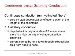 Copyright 2009 John Wiley & Sons, Inc. 36
Continuous versus Saltatory Conduction
Continuous conduction (unmyelinated fibers)
 step-by-step depolarization of each portion of the
length of the axolemma
 Saltatory conduction
 depolarization only at nodes of Ranvier where
there is a high density of voltage-gated ion
channels
 current carried by ions flows through extracellular
fluid from node to node
 