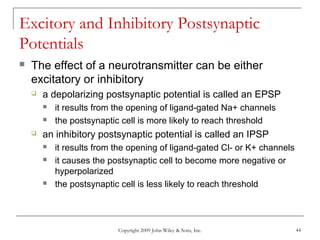Copyright 2009 John Wiley & Sons, Inc. 44
Excitory and Inhibitory Postsynaptic
Potentials
 The effect of a neurotransmitter can be either
excitatory or inhibitory
 a depolarizing postsynaptic potential is called an EPSP
 it results from the opening of ligand-gated Na+ channels
 the postsynaptic cell is more likely to reach threshold
 an inhibitory postsynaptic potential is called an IPSP
 it results from the opening of ligand-gated Cl- or K+ channels
 it causes the postsynaptic cell to become more negative or
hyperpolarized
 the postsynaptic cell is less likely to reach threshold
 