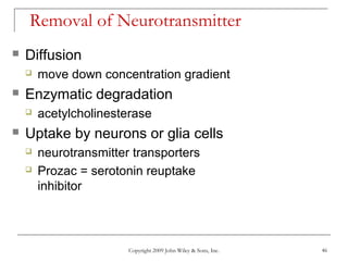 Copyright 2009 John Wiley & Sons, Inc. 46
Removal of Neurotransmitter
 Diffusion
 move down concentration gradient
 Enzymatic degradation
 acetylcholinesterase
 Uptake by neurons or glia cells
 neurotransmitter transporters
 Prozac = serotonin reuptake
inhibitor
 
