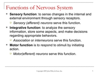 Copyright 2009 John Wiley & Sons, Inc. 5
Functions of Nervous System
 Sensory function: to sense changes in the internal and
external environment through sensory receptors.
 Sensory (afferent) neurons serve this function.
 Integrative function: to analyze the sensory
information, store some aspects, and make decisions
regarding appropriate behaviors.
 Association or interneurons serve this function.
 Motor function is to respond to stimuli by initiating
action.
 Motor(efferent) neurons serve this function.
 