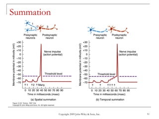 Copyright 2009 John Wiley & Sons, Inc. 51
Summation
 