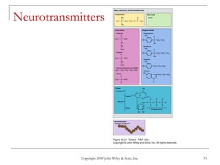 Copyright 2009 John Wiley & Sons, Inc. 53
Neurotransmitters
 