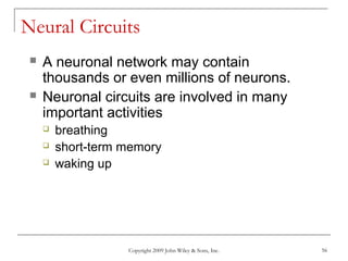 Copyright 2009 John Wiley & Sons, Inc. 56
Neural Circuits
 A neuronal network may contain
thousands or even millions of neurons.
 Neuronal circuits are involved in many
important activities
 breathing
 short-term memory
 waking up
 