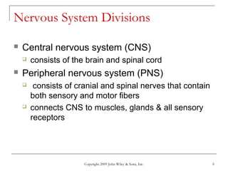 Copyright 2009 John Wiley & Sons, Inc. 6
Nervous System Divisions
 Central nervous system (CNS)
 consists of the brain and spinal cord
 Peripheral nervous system (PNS)
 consists of cranial and spinal nerves that contain
both sensory and motor fibers
 connects CNS to muscles, glands & all sensory
receptors
 
