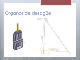 Órganos de desagüe
 