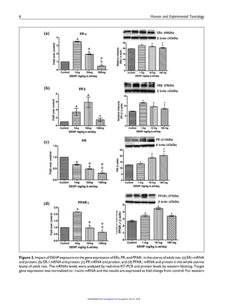 (1:1000; cat. no. sc-6822), progesterone
receptor (PR; 1:500; cat. no. sc-7208), PPARg (1:500;
cat. no. sc-7273), and  