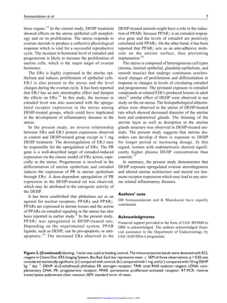 -actin (1:5000; cat. no. A1978;
Sigma-Aldrich) for overnight at 4
C. After washing in
PBS with Tween-20, the blots were incubated with
respective secondary antibodies conjugated with HRP
(1:10,000; GeNei, Bangalore, Karnataka, India) for
1 h at room temperature. The membranes were then
washed four times in PBS-Tween buffer. Immunoac-
tive antigen–antibody complexes were visualized
with Enhanced Chemiluminescent reagent (ECL)
(Thermo Scientific, Rockford, Illinois, USA), the sig-
nals were captured by the Chemi Doc XRS system
(Bio-Rad), and the intensity of the bands were
Table 1. List of primers.
Name Accession number Primer sequence
 