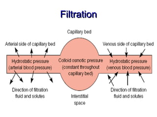 Filtration
 