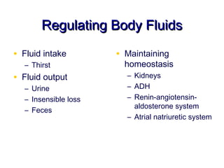 Regulating Body Fluids

• Fluid intake        • Maintaining
  – Thirst              homeostasis
• Fluid output          – Kidneys
  – Urine               – ADH
  – Insensible loss     – Renin-angiotensin-
                          aldosterone system
  – Feces
                        – Atrial natriuretic system
 