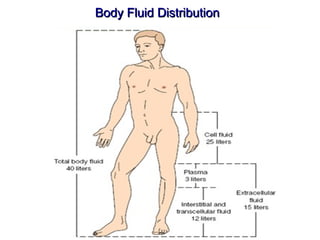 Body Fluid Distribution
 