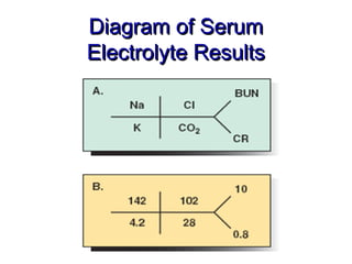 Diagram of Serum
Electrolyte Results
 