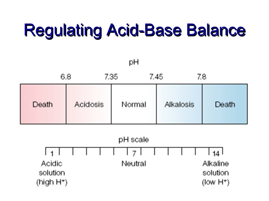 fluid, electrolytes, acid base balance