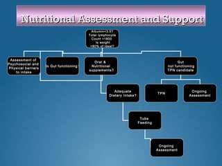 Nutrition Support Algorithm 8 nutrition - nursing | PPT